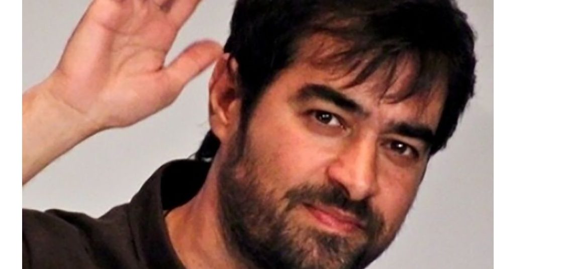 ماجرای درگیری شهاب حسینی بازیگر سریال سرزمین مادری با اعتیاد: دوست نداشتم قلدر محل باشم !